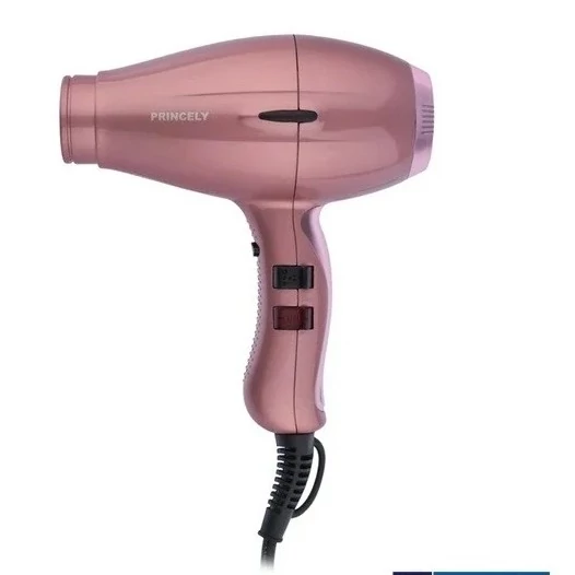 سشوار حرفه ای پرنسلی مدل PR252AT