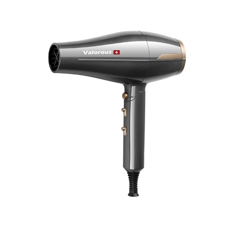 سشوار ولروس مدل VL-501 1
