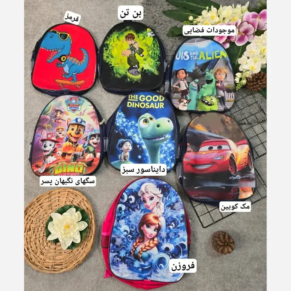 کوله پشتی دبستانی برزنتی دو زیپ طرح فانتزی پسرانه و دخترانه