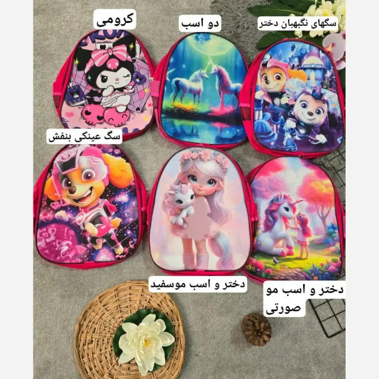 کوله پشتی دبستانی برزنتی دو زیپ طرح فانتزی پسرانه و دخترانه