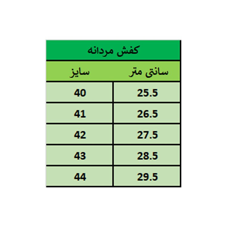 کفش مردانه مدل PARS_L کد PNT