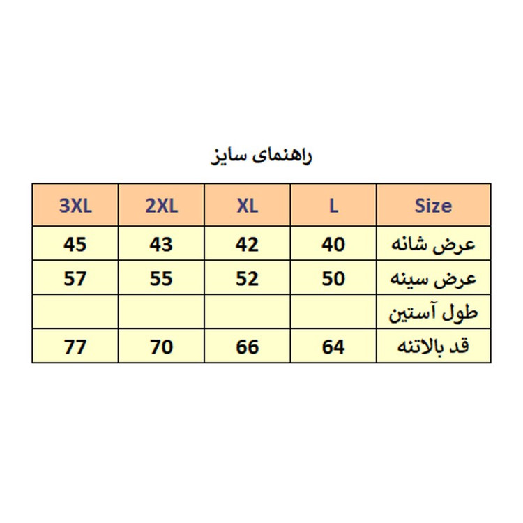 پافرمردانه مدل FR کد M2655