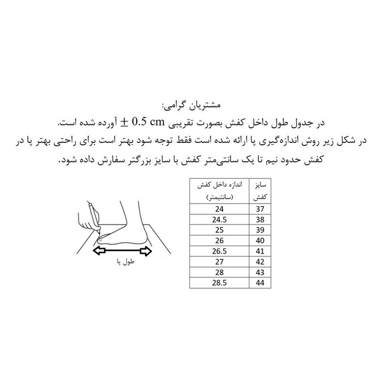 کفش پیادهروی مدل کلاسیک کد MESKBAFT