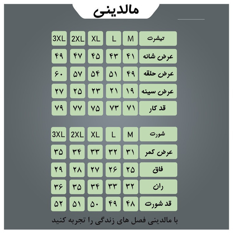ست تیشرت و شلوارک ورزشی مردانه مدل set008