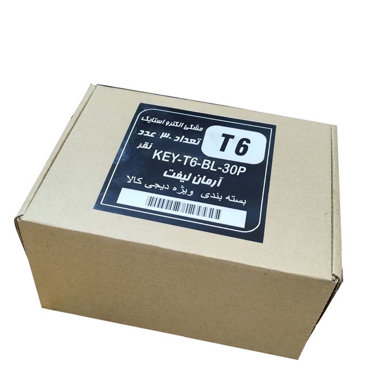 کلید قفل درب آسانسور آرمان لیفت مدل KEY-T6-BL-30P بسته 30عددی