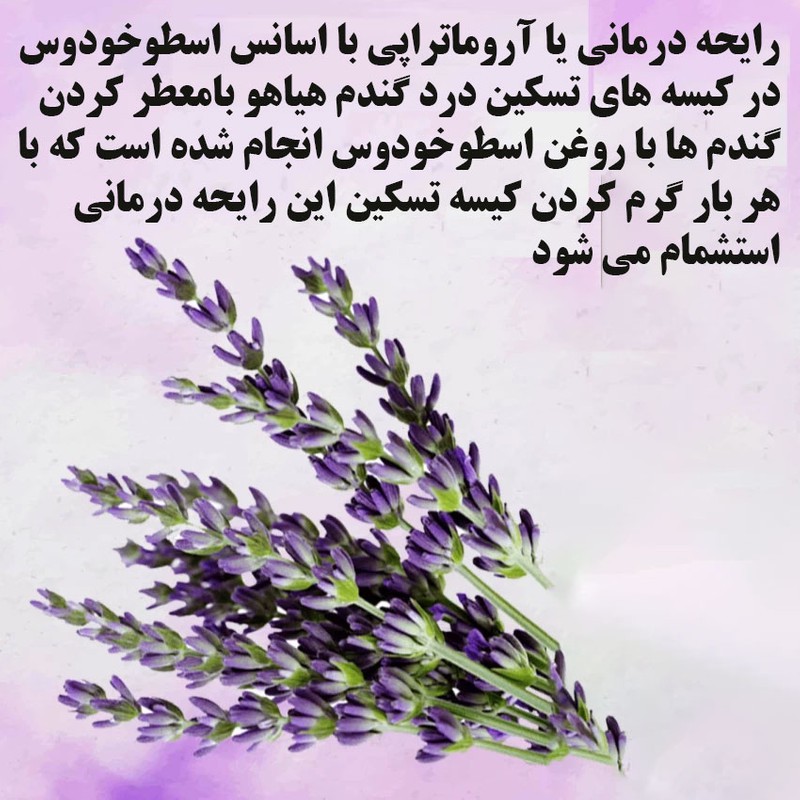 کیسه تسکین درد هیاهو مدل آروماتراپی اسانس اسطوخودوس کد Wheat-14x12