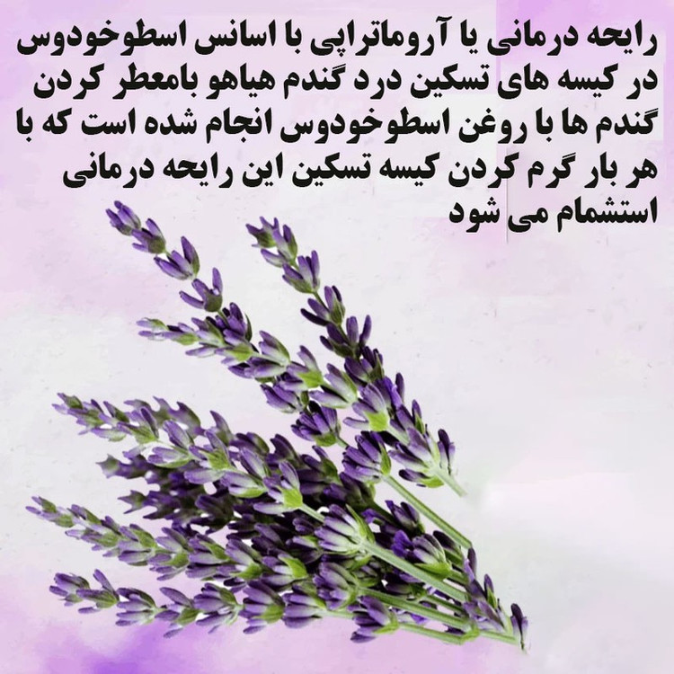 کیسه تسکین درد هیاهو مدل آروماتراپی اسانس اسطوخودوس کد Wheat-50x50-C