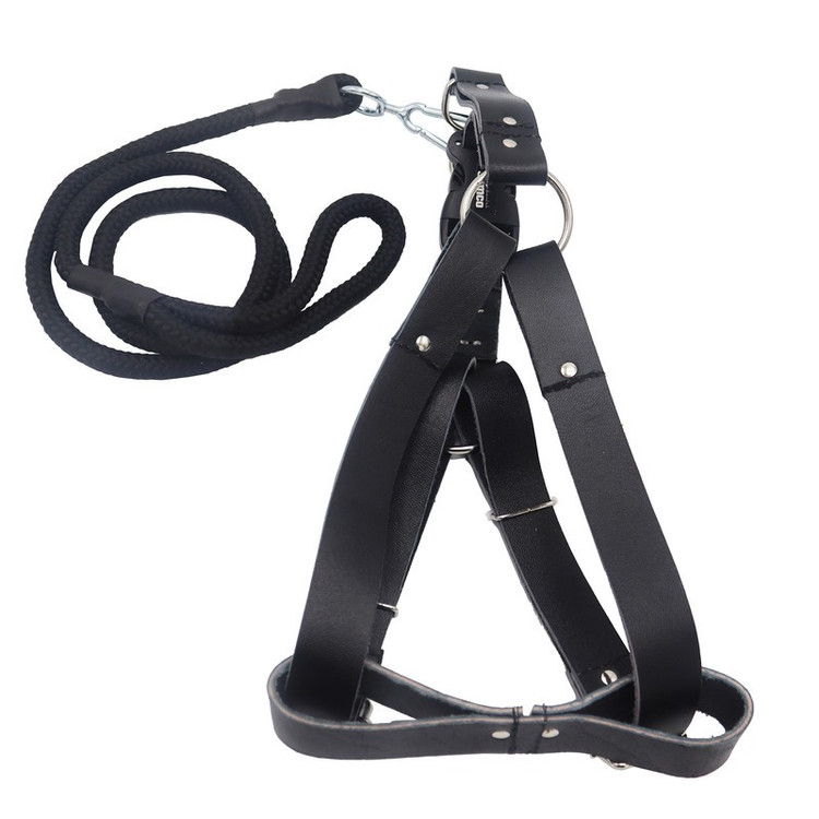 قلاده کمری به همراه لید سامکو مدل YP3-LIDDAR135CM