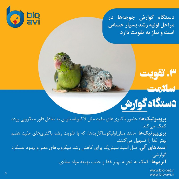 غذای کمکی طوطی سانان بایو اوی مدل HR19 وزن 500 گرم
