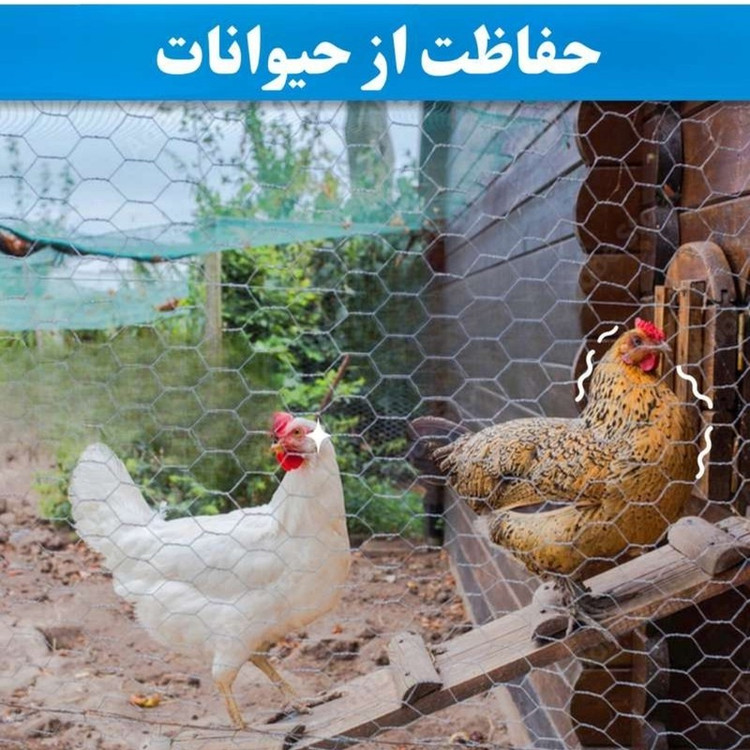 توری مرغی مدل فرنگی H180 طول 20 متر