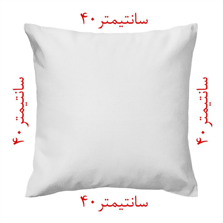 کاور کوسن مدل مخمل co40-256