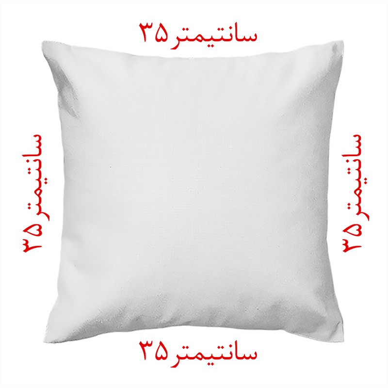 کاور کوسن مدل ژاکارد co35-244